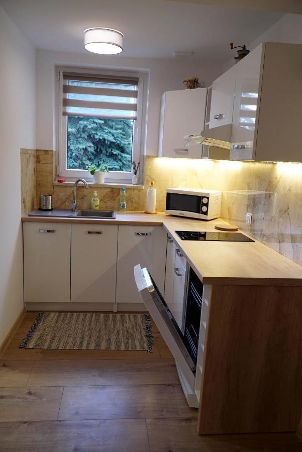 Apartament Naleczow Dom Pod Orzechami エクステリア 写真