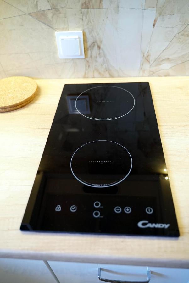 Apartament Naleczow Dom Pod Orzechami エクステリア 写真