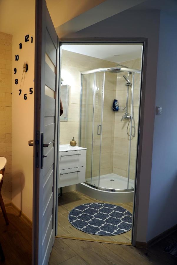 Apartament Naleczow Dom Pod Orzechami エクステリア 写真